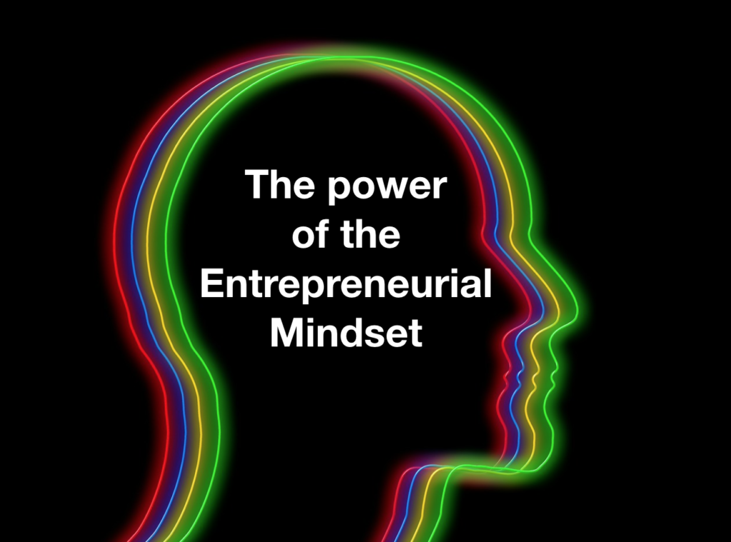 What is Entrepreneurship Mindset Curriculum?
