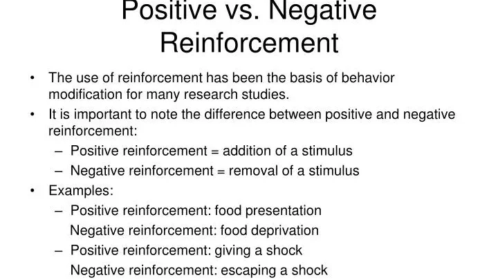 Positive Reinforcement and Encouragement