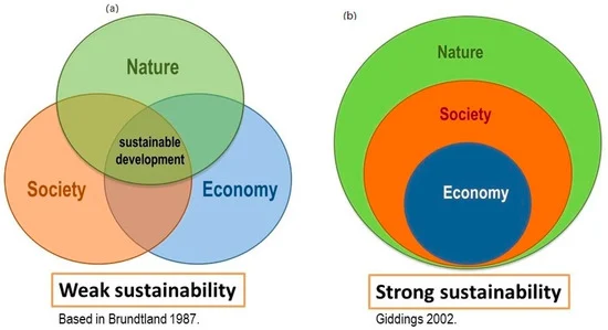 Sustainable Entrepreneurship