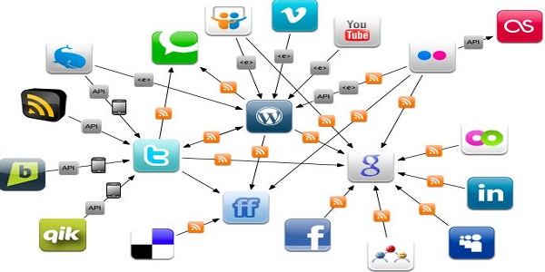 Social Connections and Networking
