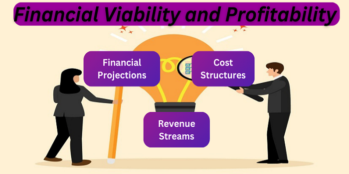 Financial Viability and Profitability